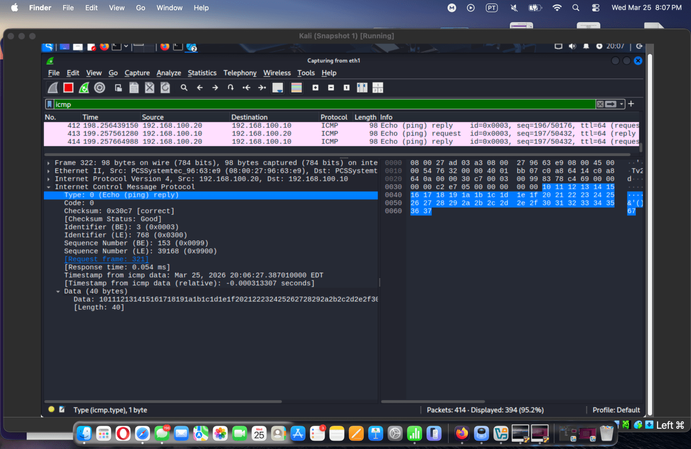 Packet details in Wireshark